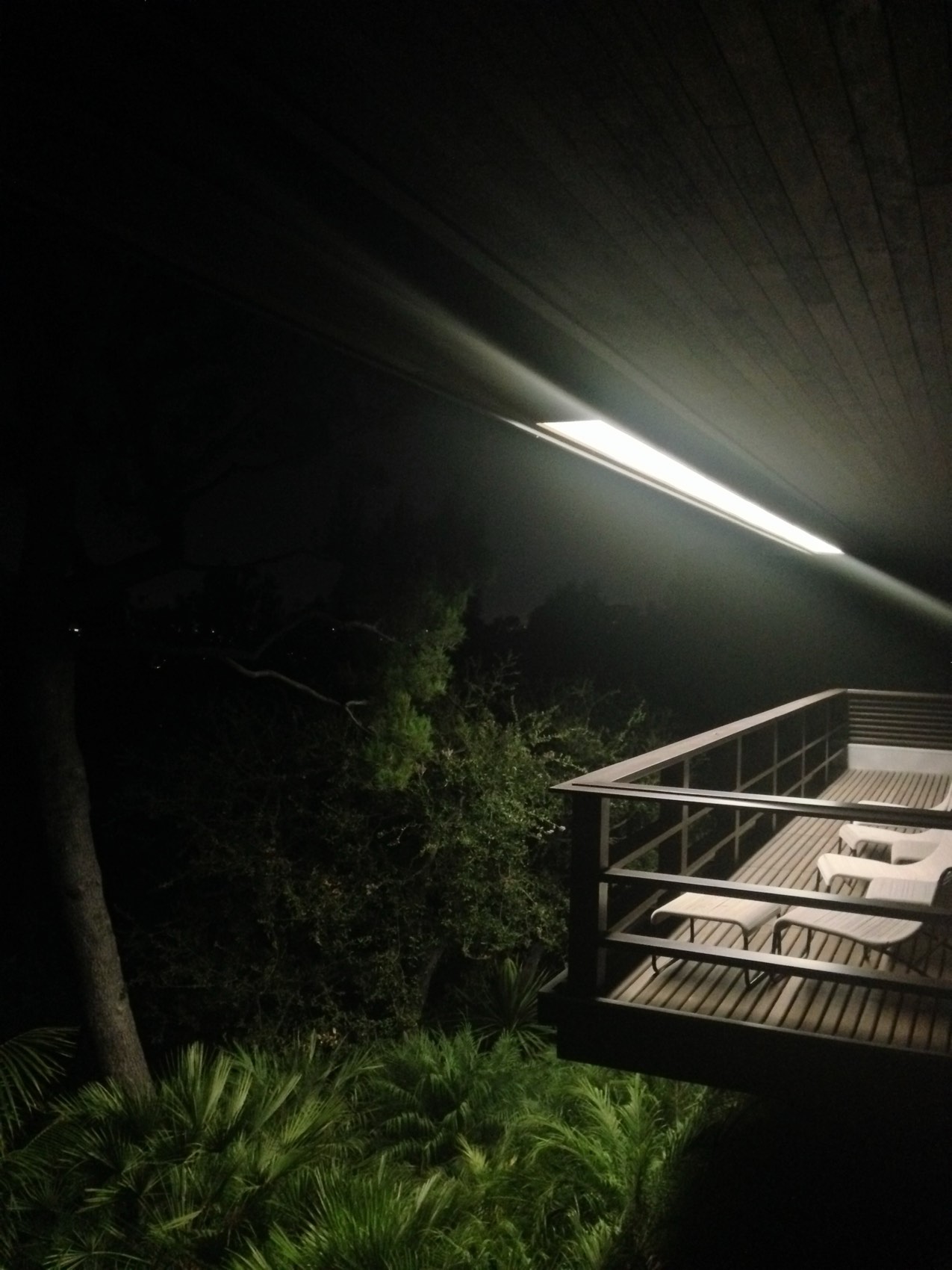 Neutra House Renovation — photograph 9 of 9